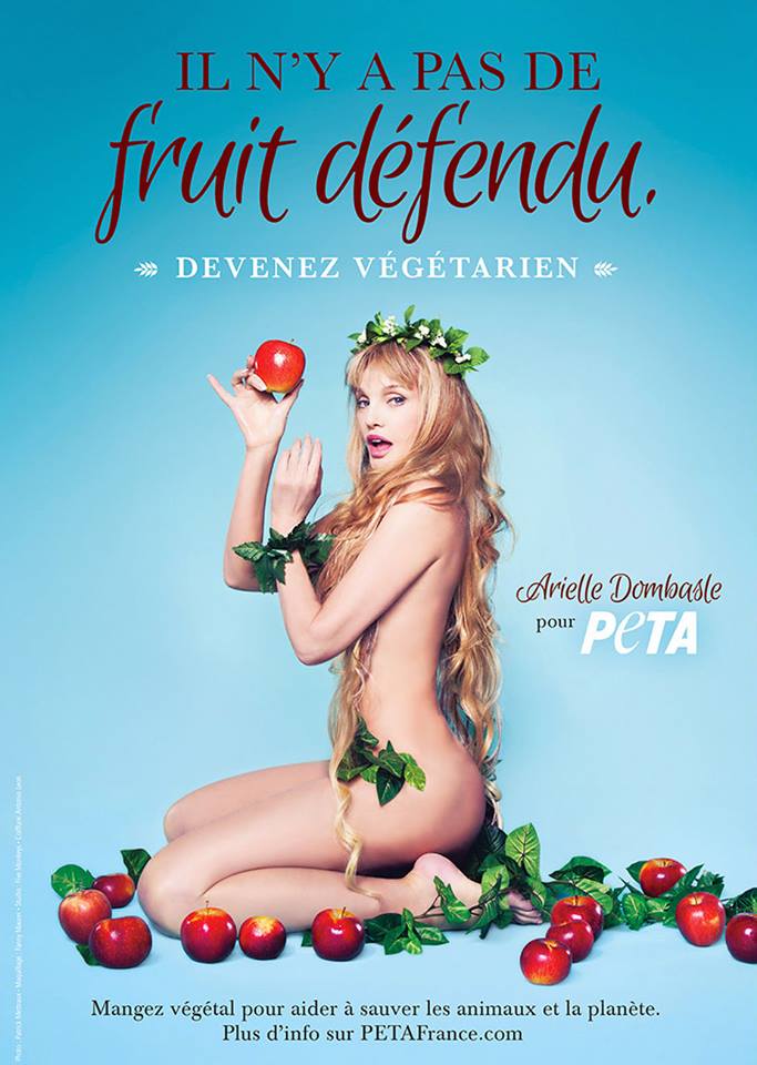 14642299_1659025824408038_1971396619047909042_n